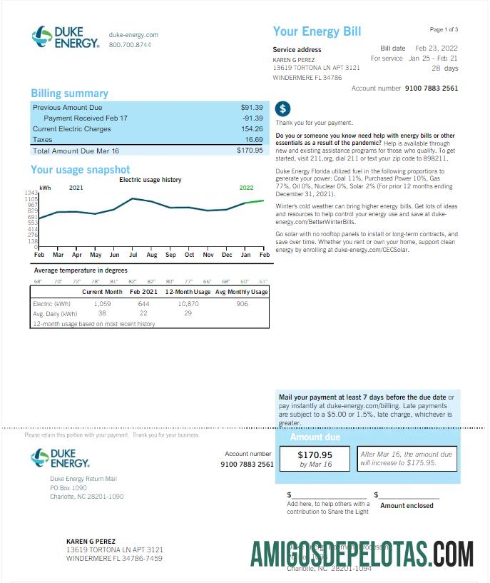 Para baixar modelo Word e PDF de conta de serviços públicos da USA DUKE ENERGY, versão 2